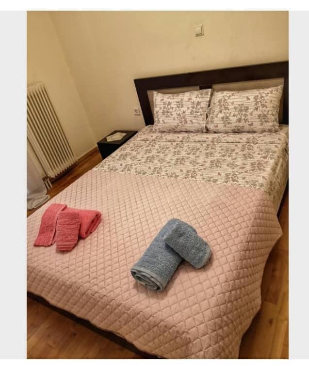 Beauty 5 Minutes From Attractions Apartment Athen